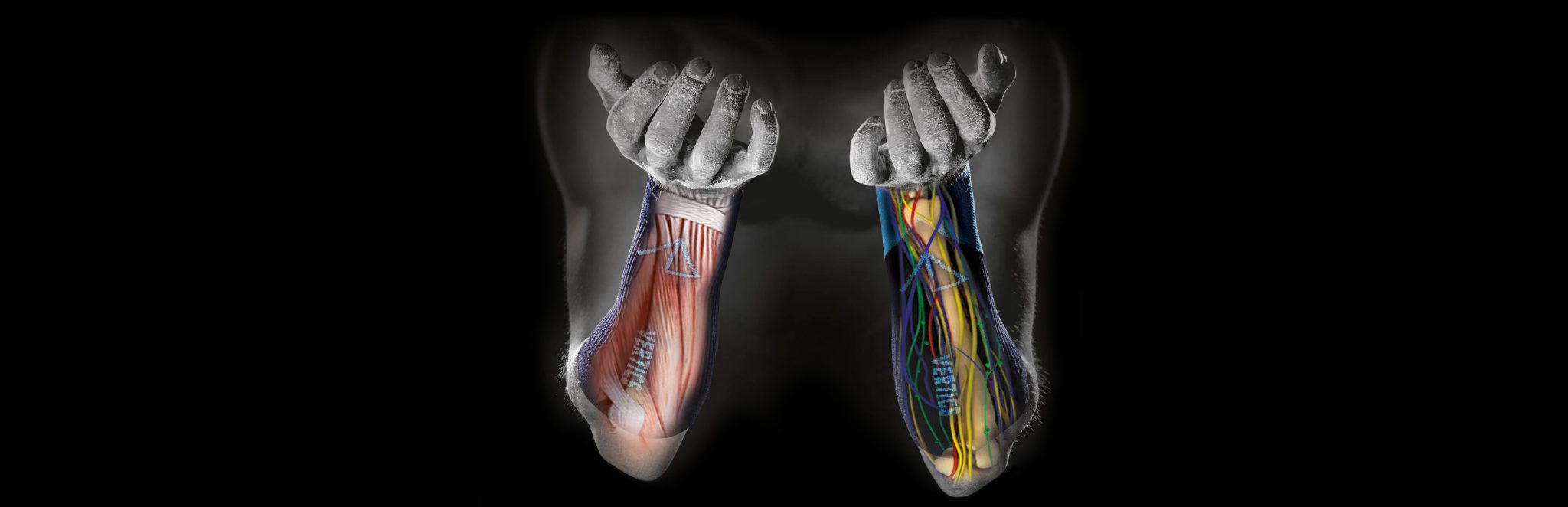 Anatomi VERTICS.Sleeves